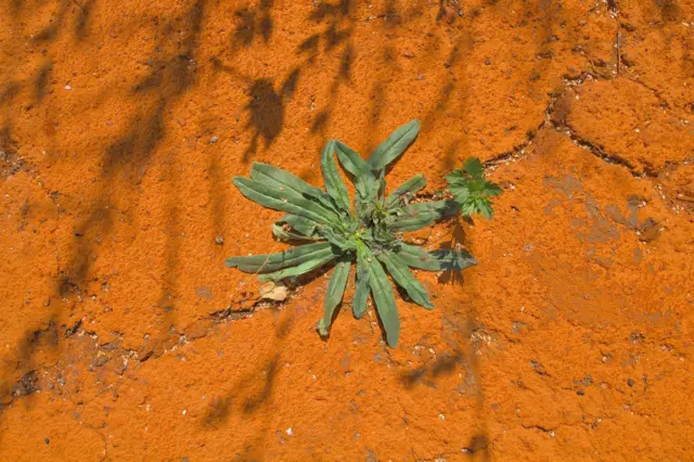 затоплені шахти