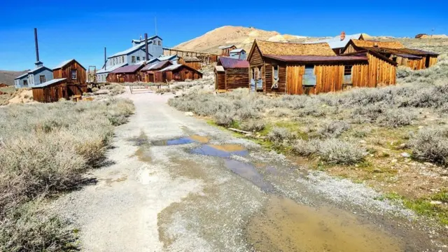 （圖片來源: Zack Frank）