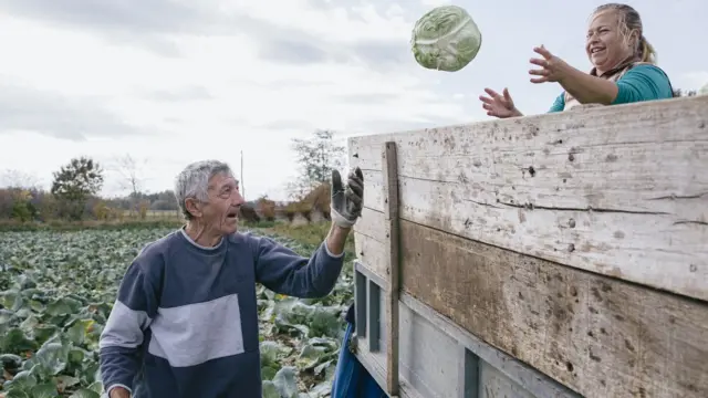 Hvataj! I Miloš Teodosić bi pozavideo na ovom dodavanju