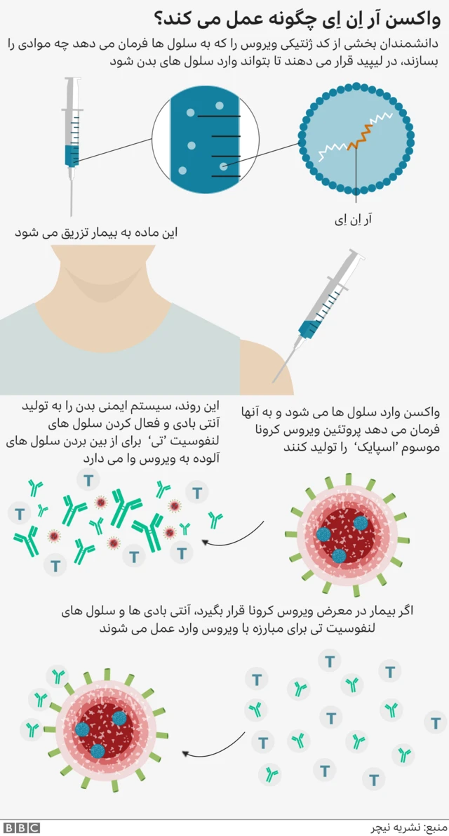 واکسن آر ان ای