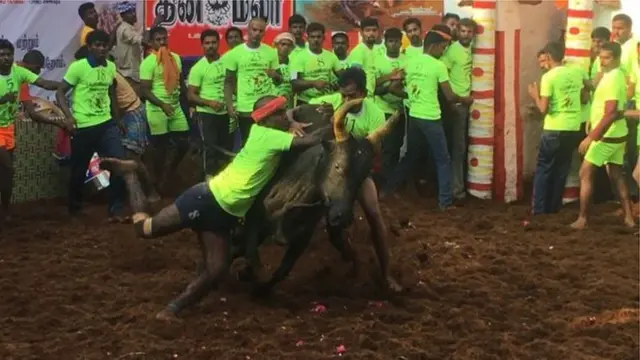 తమిళనాడులో జల్లికట్టు