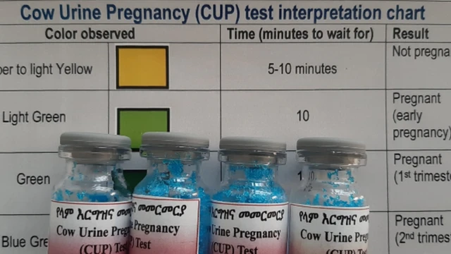 ብልቃጣት መመርመሪ ጥንሲ ላሕሚ