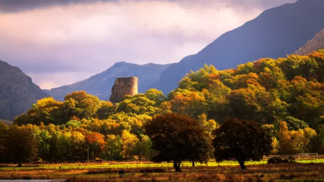 Замок Долбадарн