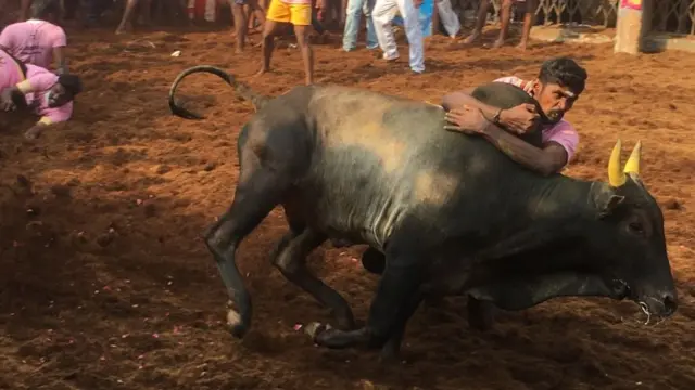 முடிவடைந்தது அலங்காநல்லூர் ஜல்லிக்கட்டு