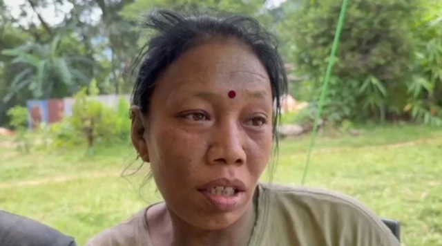 Nwaanyị lanarịrị idemmiri Nepal-Tibet yi uwe elu akwụkwọ ndụ ma nọrọ n'ihu osisi. O nwere akara okpukpe na-acha uhie uhie n'etiti ọkpọiso ya
