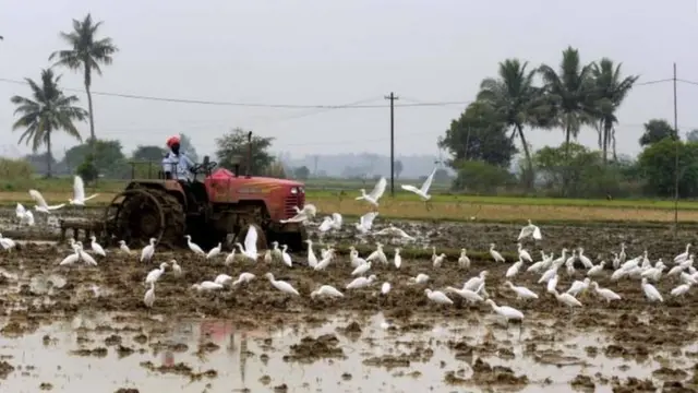 கிராமம்