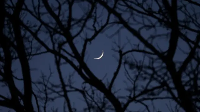 bulan, mood, kepribadian