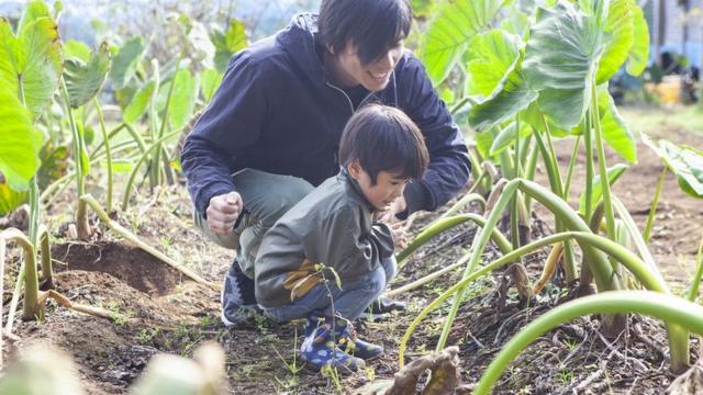 Pai e filho observam plantas