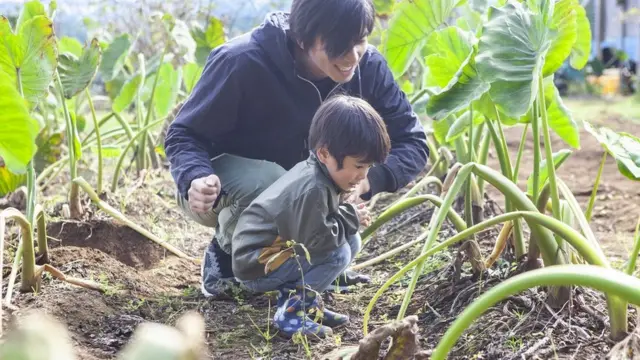 Pai e filho observam plantas