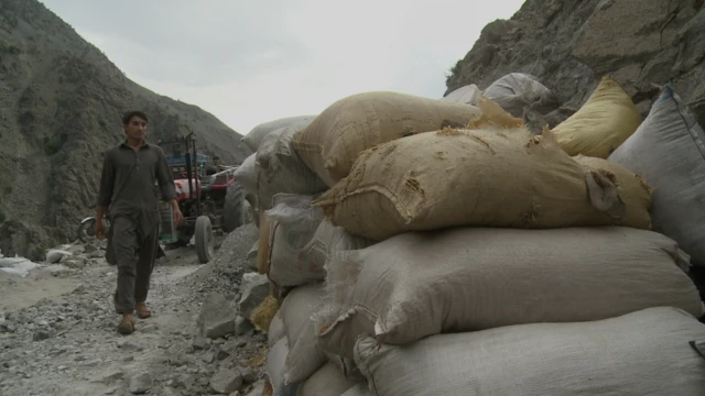 پاکستان جنگلات