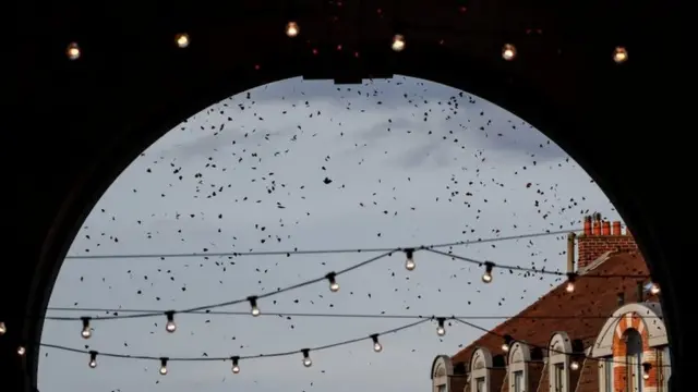 С крыши триумфальной арки были сброшены тысячи бумажных красных маков