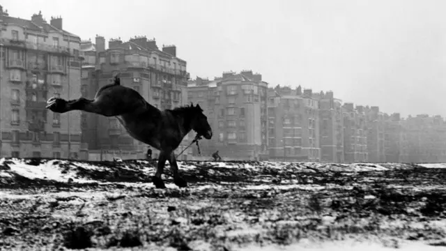 Porte de Vanves, Paris 1952