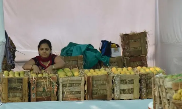 மாம்பழ ஏற்றுமதி, அமெரிக்கா, இந்திய மாம்பழங்கள்