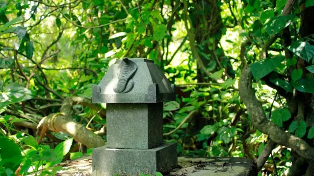 انڈیا میں چند برادریوں میں سانپوں کو دوبارہ جنم کے خایل سے جوڑ کر دیکھا جاتا ہے