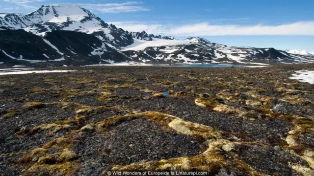 Staffan Widstrand/naturepl.com
