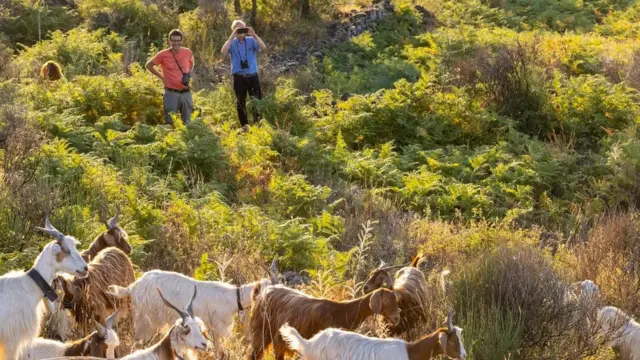 (Credit: Christian Ziegler/MPI-AB)