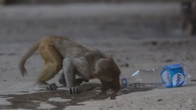 హీట్‌వేవ్