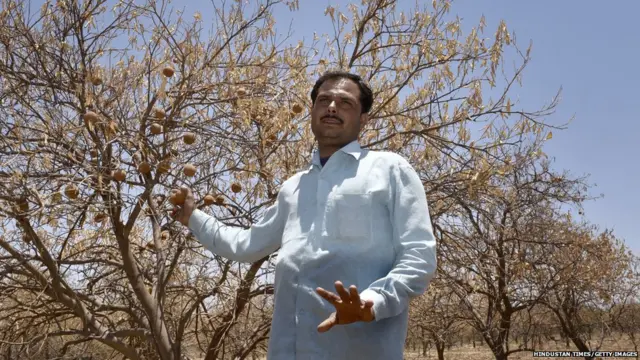 प्रातिनिधिक फोटो