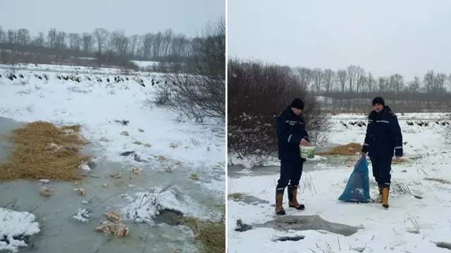 Порятунок лелек