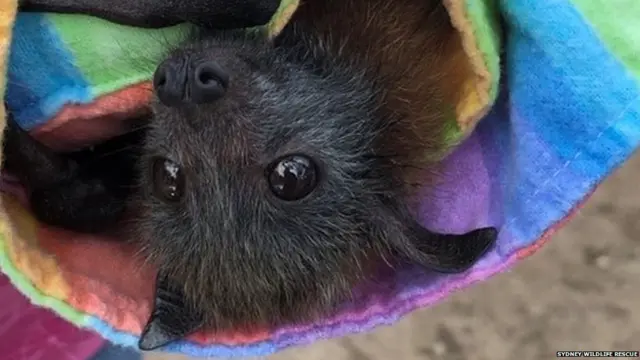 Әдемі Xxx фотосуреттер