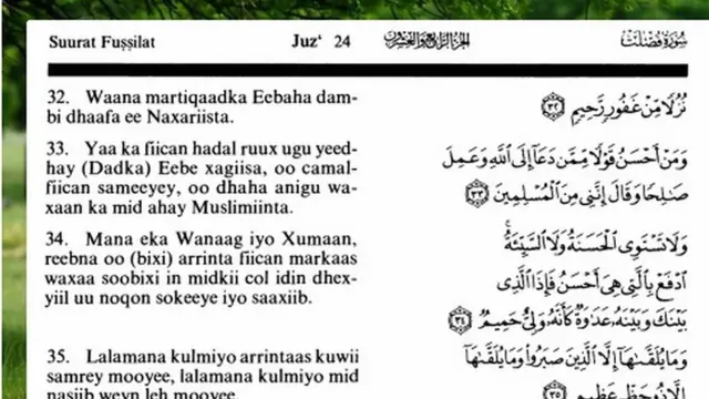 Jonli, haqiqiy, erotik, chiroyli filmlarni tomosha qiling