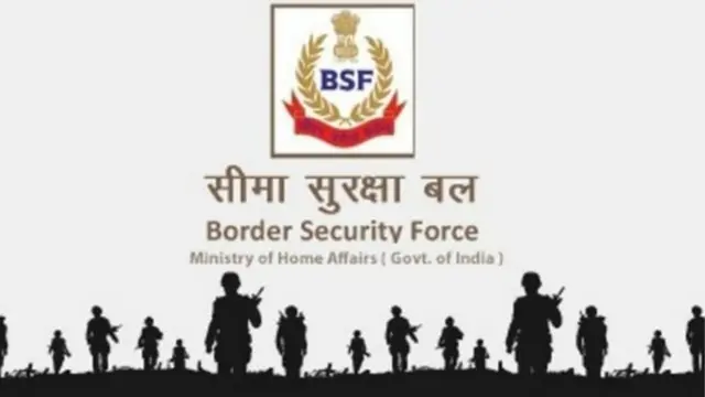 সীমান্তে বাংলাদেশী হত্যায় বিএসএফের সমালোচনা করে থাকে বিভিন্ন মানবাধিকার সংগঠন।