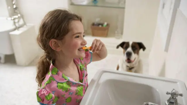 منھ کی صفائی