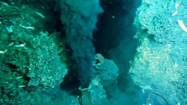 Ventosas hidrotermales