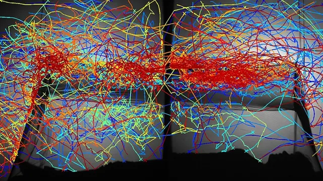 Траектории движения комаров