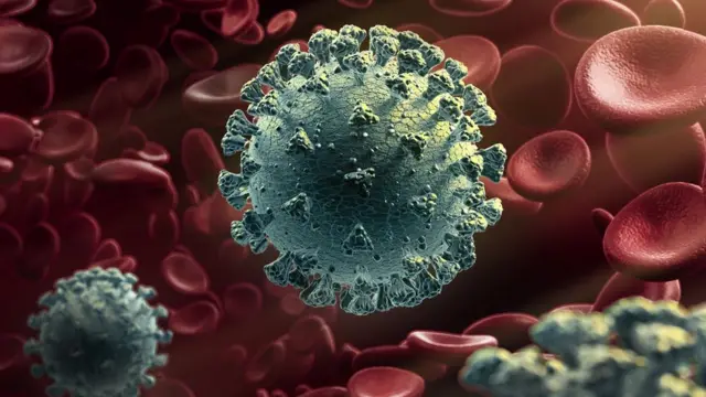 கோவிட் 19: ஏன் கொரோனா வைரஸ் மிகவும் ஆபத்தானதாக இருக்கிறது?