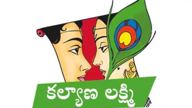 ఈ వ్యవహారంపై ఫిర్యాదు అందిందని, విచారణ జరిపి చర్యలు తీసుకుంటామని అధికారులు తెలిపారు