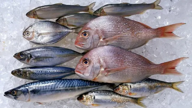 గుజరాత్