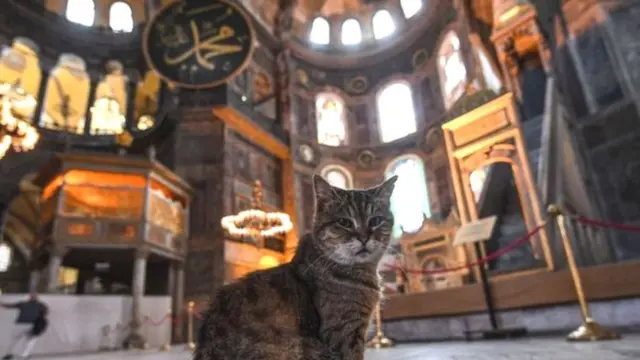 हागिया सोफ़िया