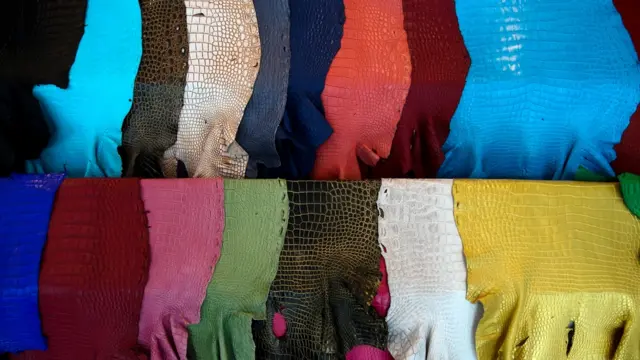 مزرعه پرورش تمساح