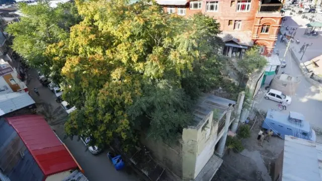 श्रीनगर का पैलेडियम सिनेमाघर