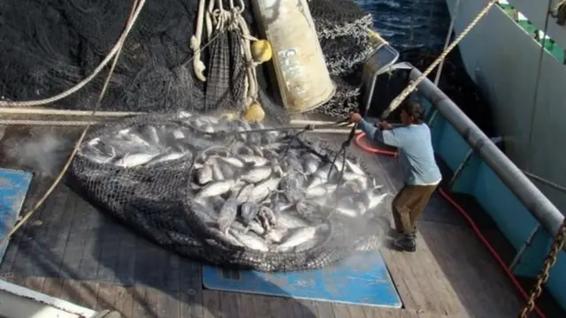 يتتبع نظام مراقبة الصيد العالمي سفن الصيد في شتى أنحاء العالم