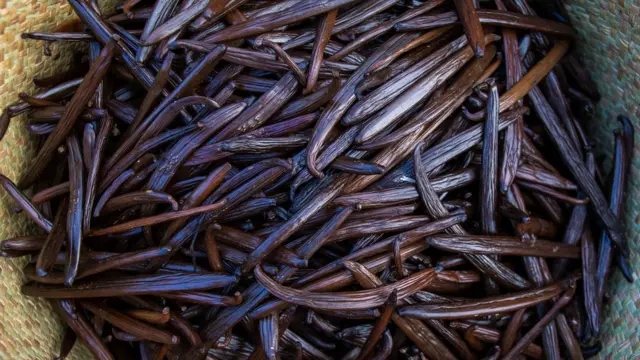 ฝักวานิลลา