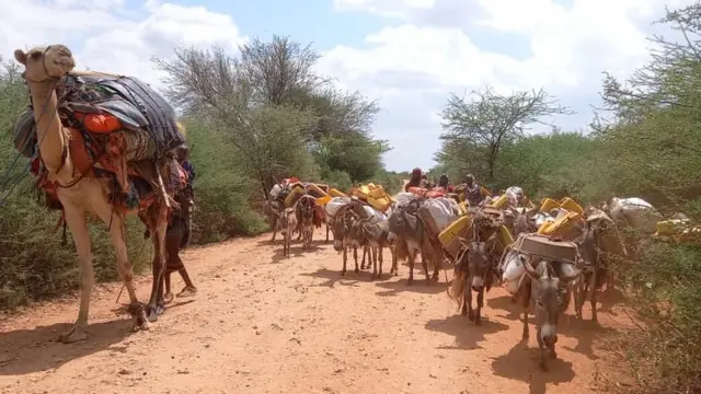 Horsiisee bultoonni bishaan barbaacha guyyaatti hanga sa'aatii 10 imalan akka jiran qondaalli BBC'tti himaniiru