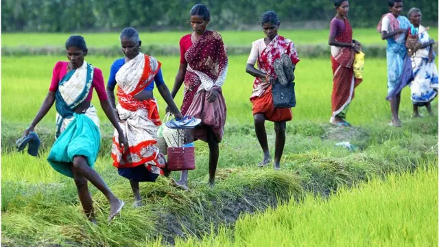 'மூடப்படுகிறதா நேரடி கொள்முதல் நிலையங்கள்?'