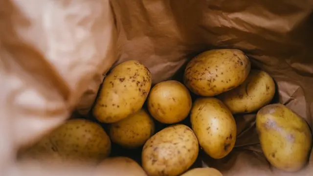 Хто такі овочі та як їх розрізняти? Короткий гід весняною городиною