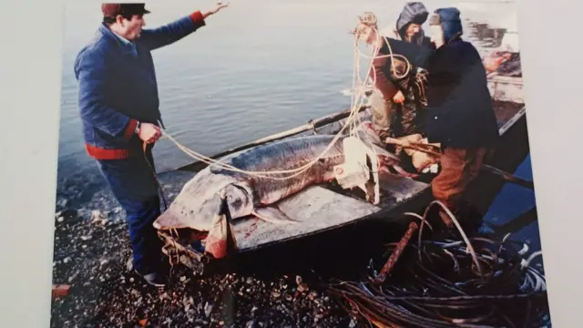 Моруна и Дунав