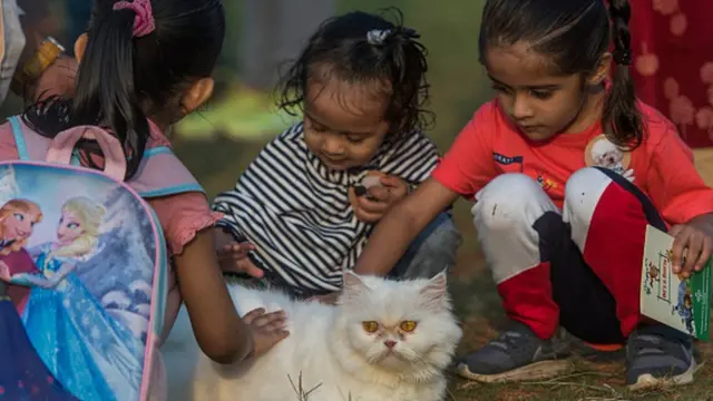 చిన్నారులు