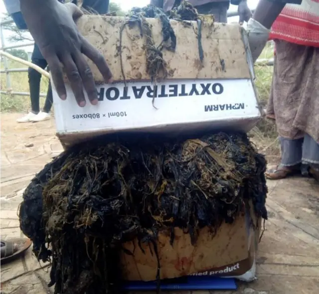 ከላሚቷ ሆድ ውስጥ የወጣው 50 ኪ.ግ የሚመዝነው ፕላስቲክ