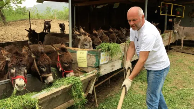 Magarci na farmi u Martinićima, 16. april 2018.