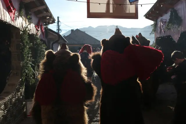 Nakon što su svi navukli kostime, grupa kreće u obilazak seoskih domaćinstava. Neizostavan detalj medveđih kostima su parovi velikih, crvenih kićanki koje su naročito efektne prilikom plesa.