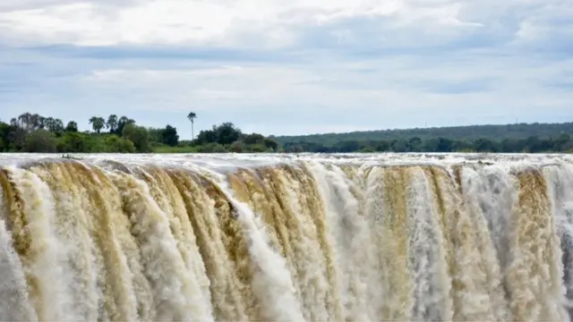 知道盘旋的秃鹫会引起公园管理员的注意，偷猎者有时甚至会给整个水源下毒，提前杀死秃鹫。
