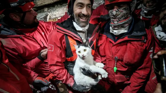 Tim SAR menyelamatkan seekor kucing yang terperangkap selama 116 jam di antara reruntuhan di Hatay, Turki, pada 10 Februari 2023.