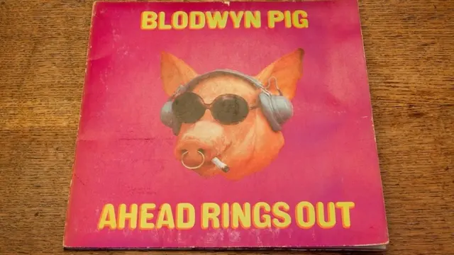 विरोध का प्रतीक सुअर