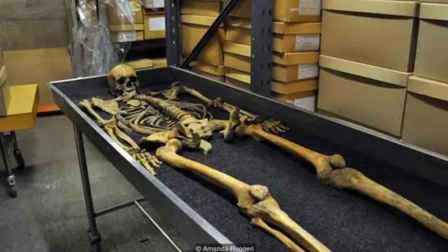 मानव कंकाल