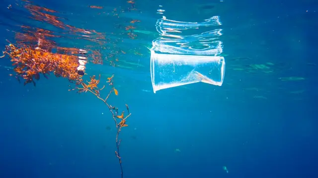 Vaso plástico en el mar